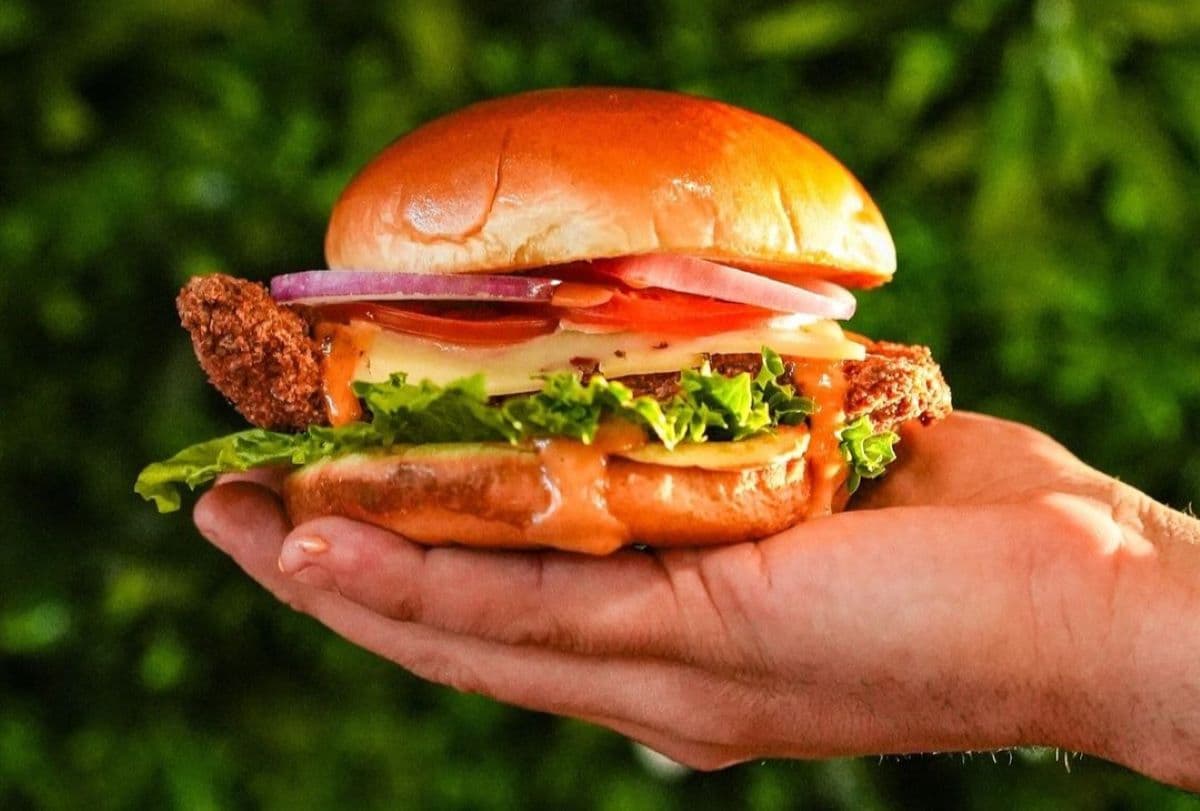 Tuxon Chix is Now Open, Serving Chicken Sandwiches, Wings & More
