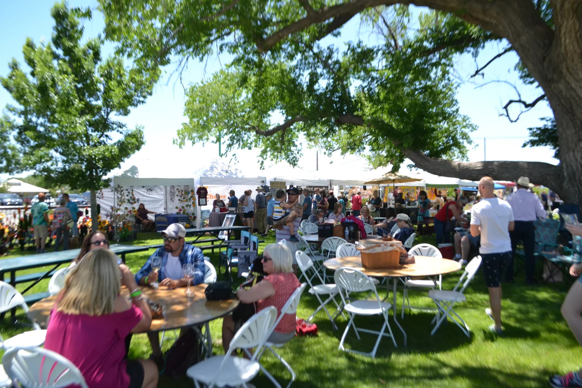 Taste the Best of Arizona at the Willcox Wine Country Fall Festival