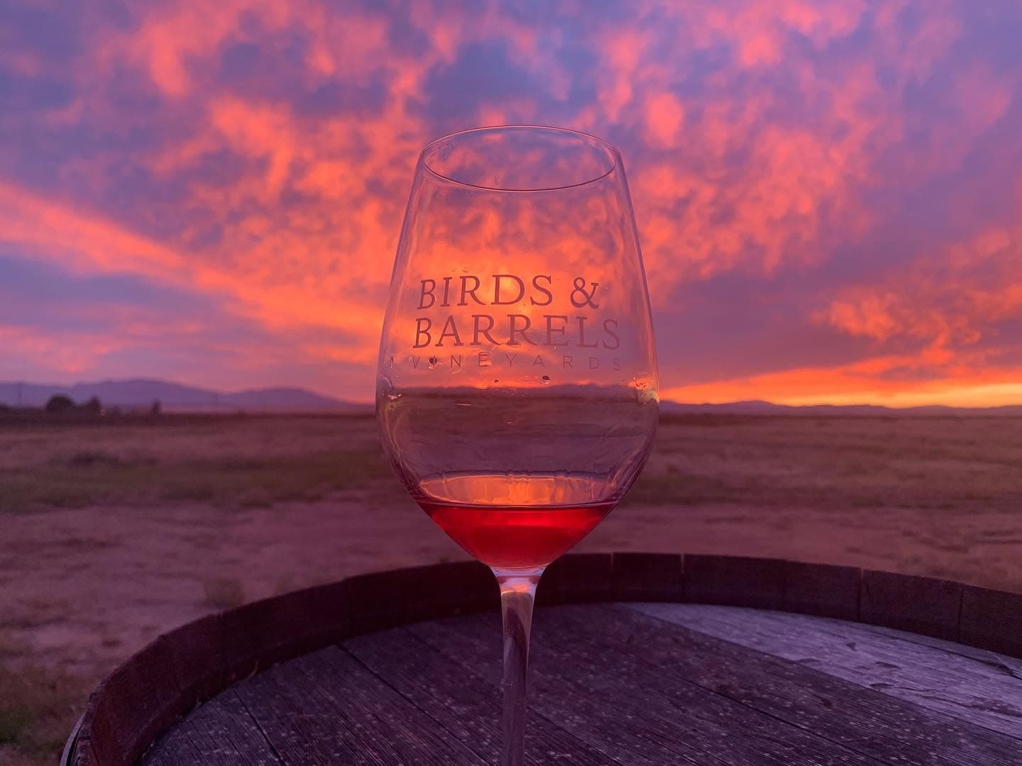 Birds and Barrels Vineyard