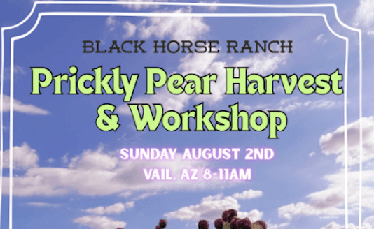 Prickly Pear Harvest & Workshop