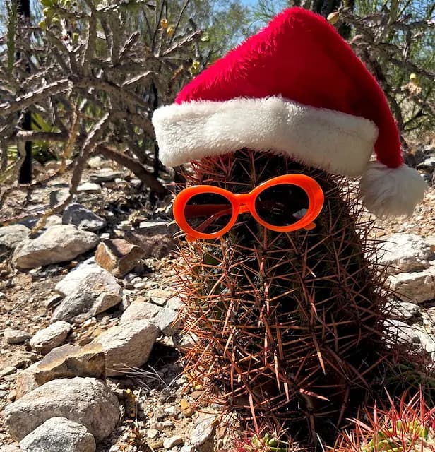 Christmas in July