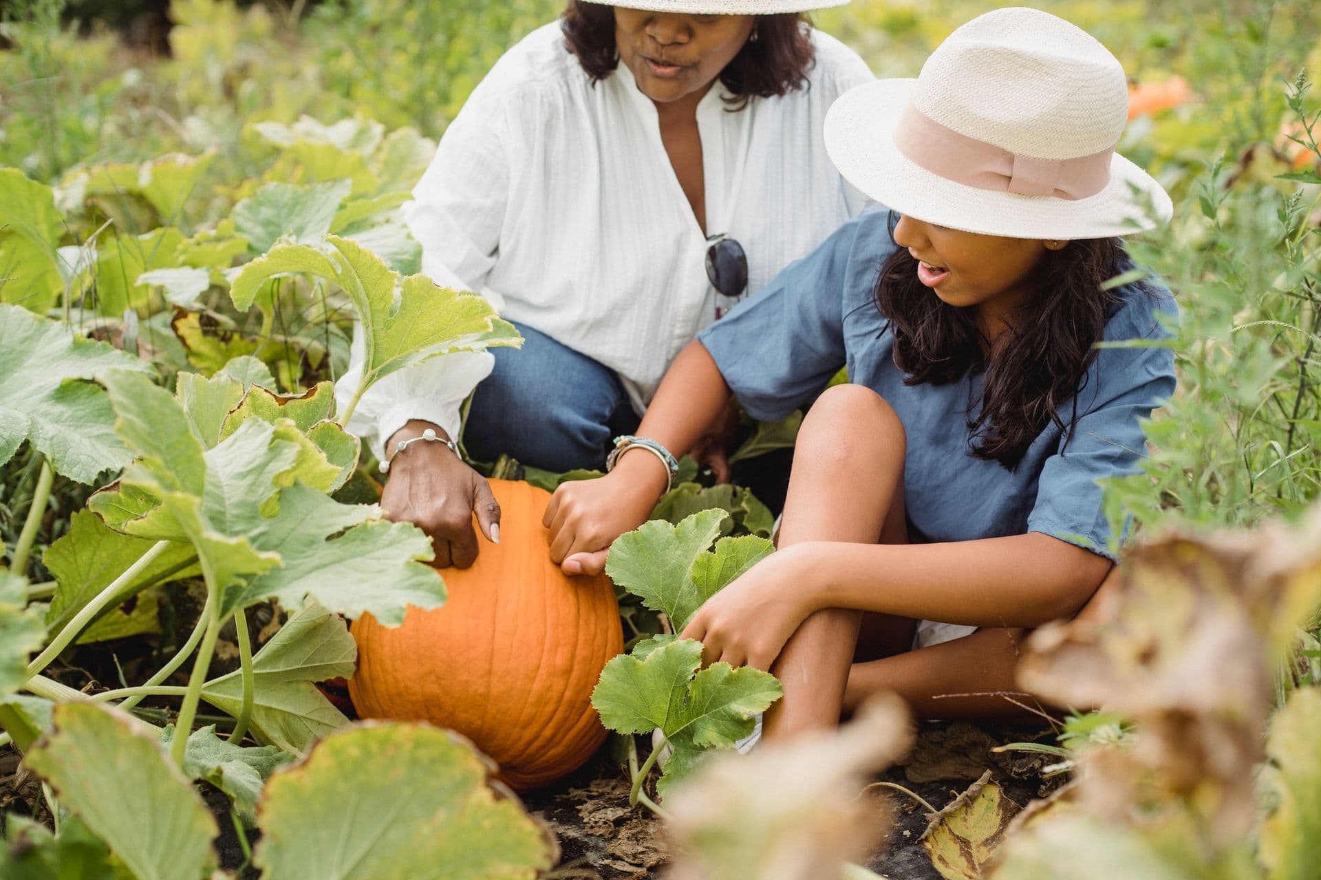 Where to Pick Your Own Pumpkin In & Around Tucson