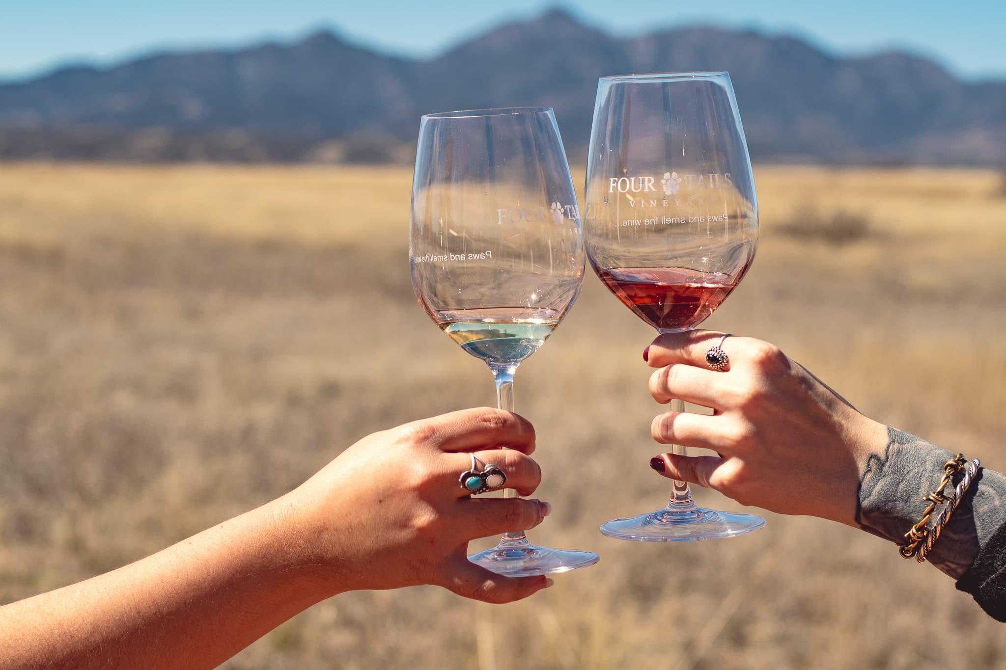 Four Tails Vineyard - Sonoita Tasting Room