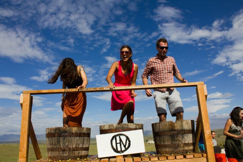 7th Annual Great Crush Festival at AZ Hops & Vines September 8