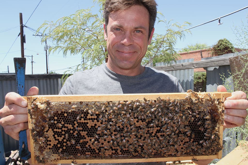 A Taste of Place: Three Local Beekeepers Talk Honey “Terroir”