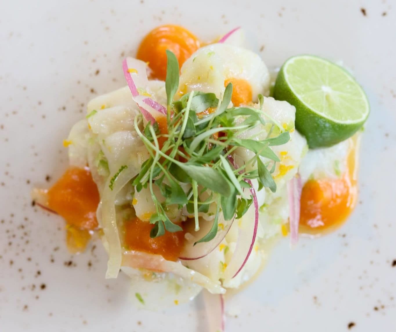 Four-course “Agave Dinner” w/ Spadefoot Nursery at BIRD Modern Provisions & Bar (MENU)