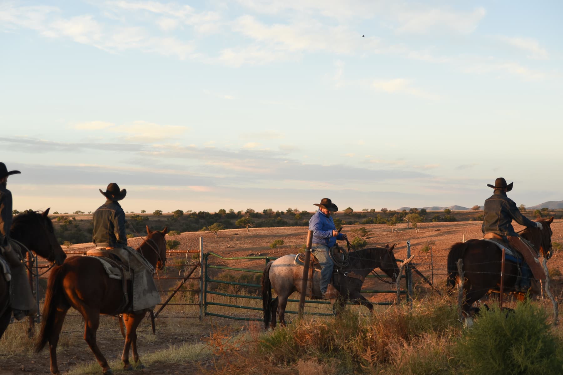 Arizona Beef Meets Napa Valley Wine at Vera Earl Ranch Dinner