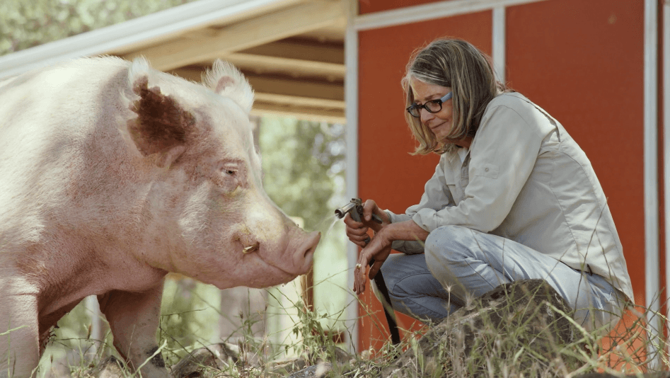 “At The Fork” Private Screening July 13 with Whole Foods, Humane Society