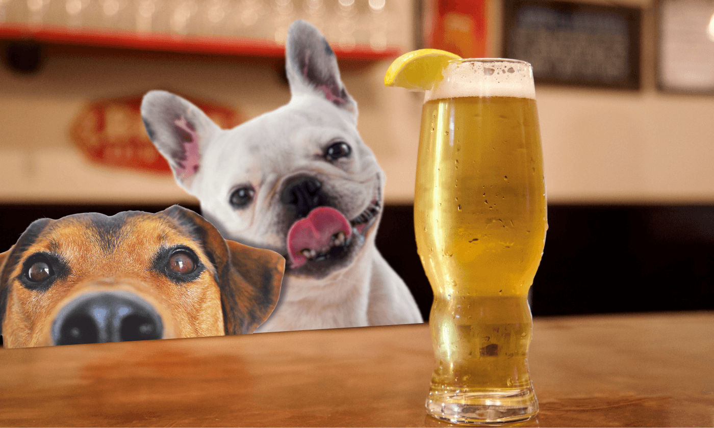 Barks & Brews: Pet Adoptions, Craft Beer, Local Makers & More