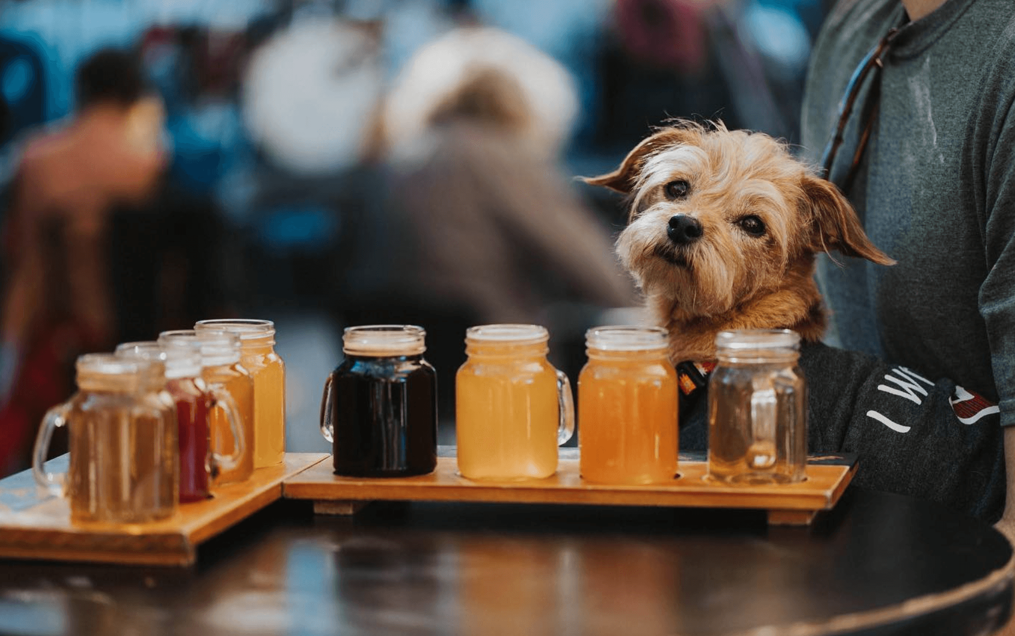 Block Party Bonanza: Borderlands Brewing Company celebrates its 11th anniversary