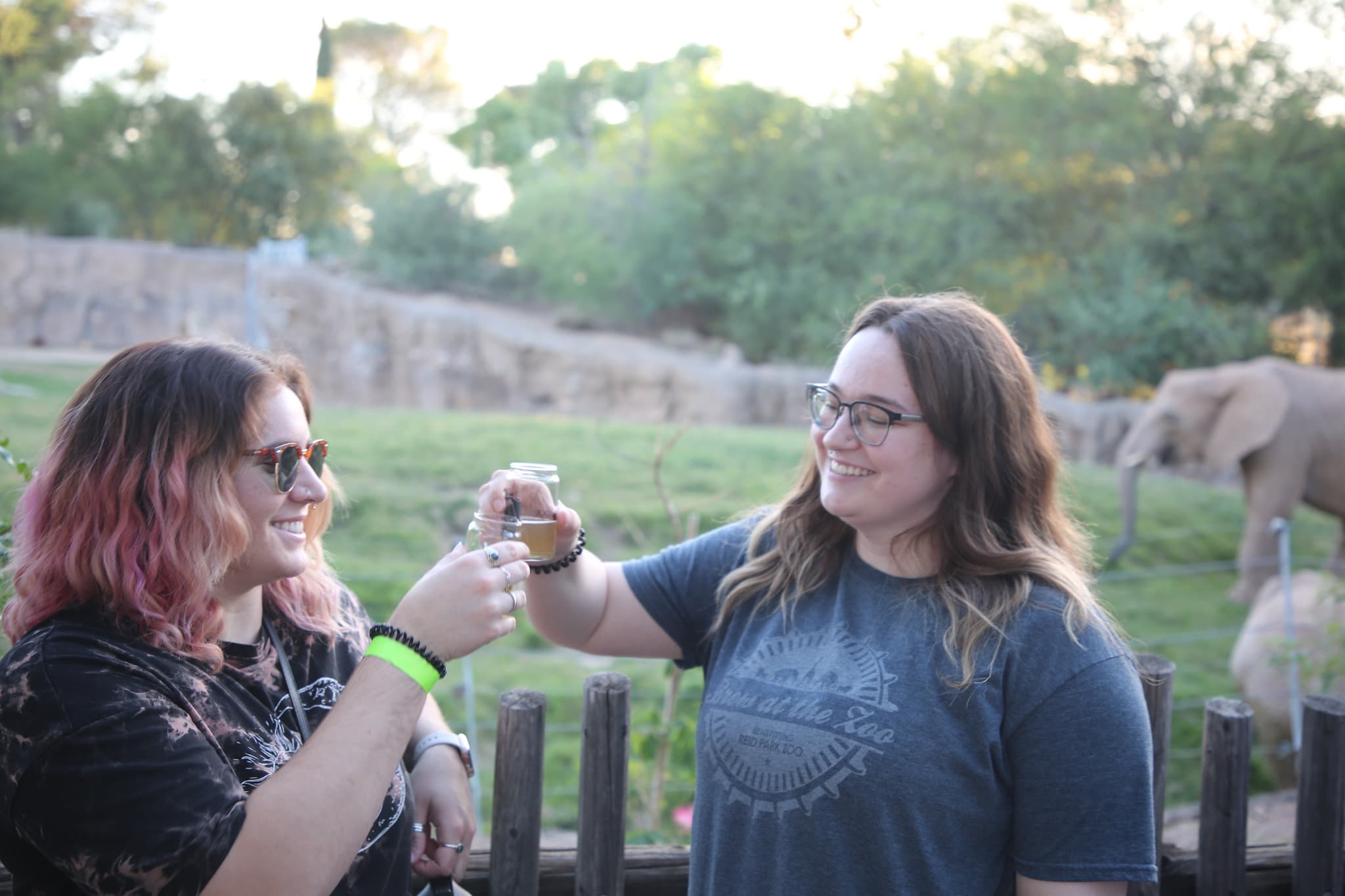 25+ Breweries Join the Herd at the 2024 Brew at the Zoo