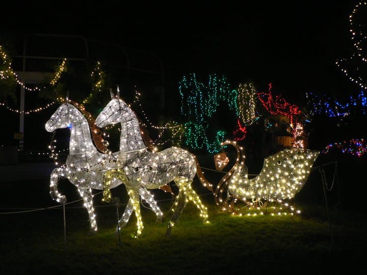“Brew Lights 2017” Brings 12 Arizona Breweries to Reid Park Zoo December 2