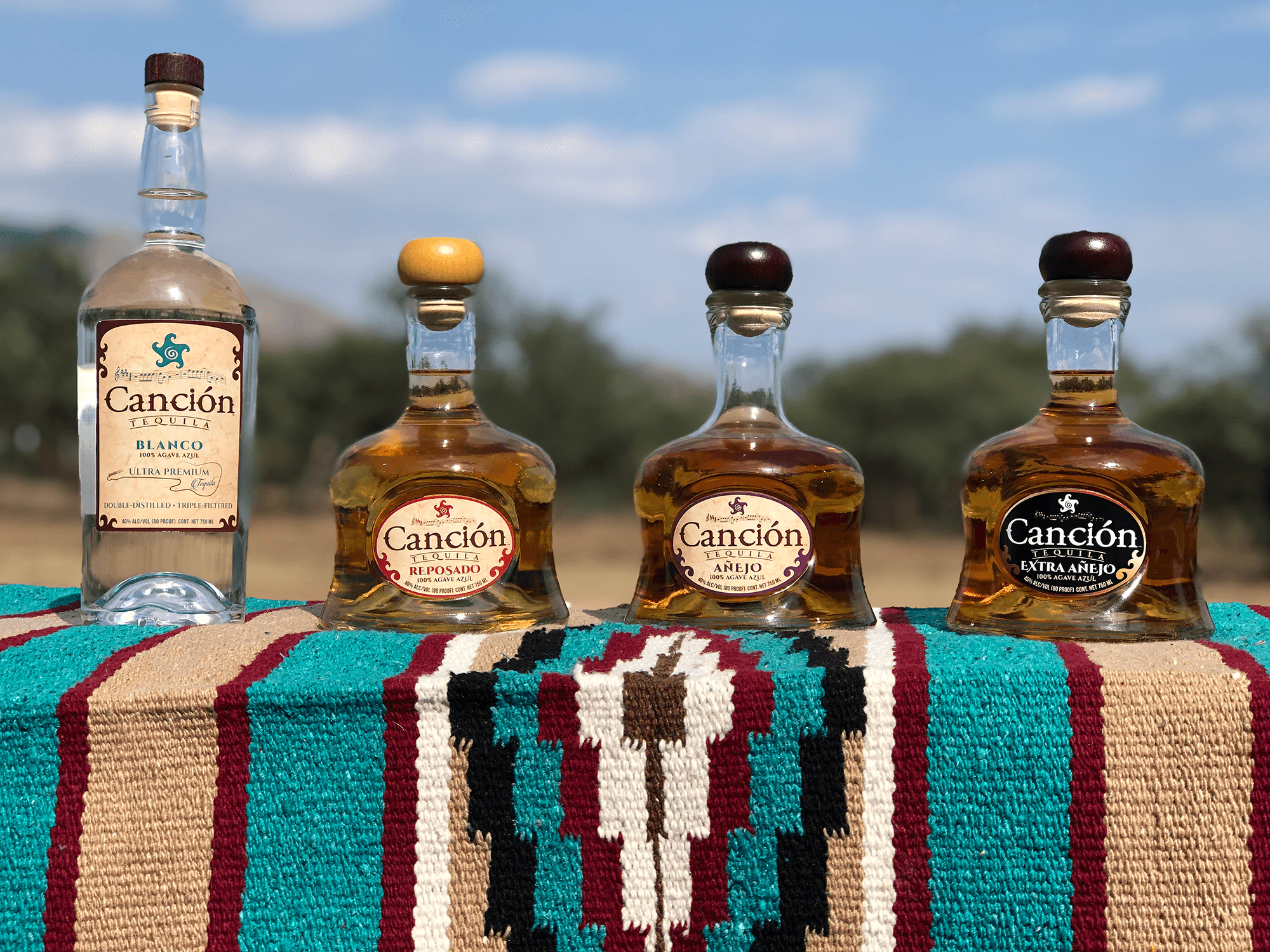 Salud, Sip & Sing: Celebrating Canción Tequila & live music