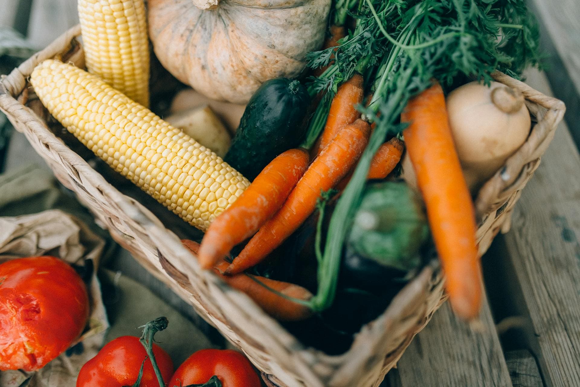 Celebrate gardening at Tucson’s Desert Harvest Festival