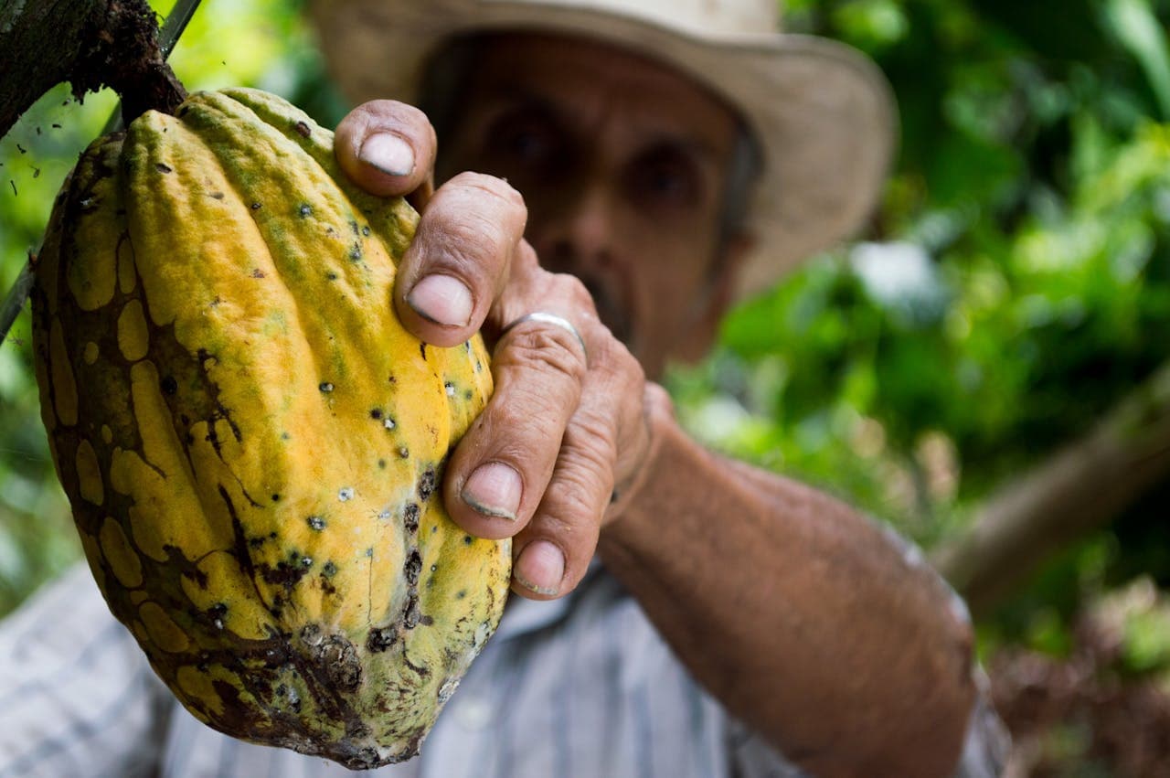 Cena de Cacao: Tucson’s Chocolate-Inspired Dinner Event
