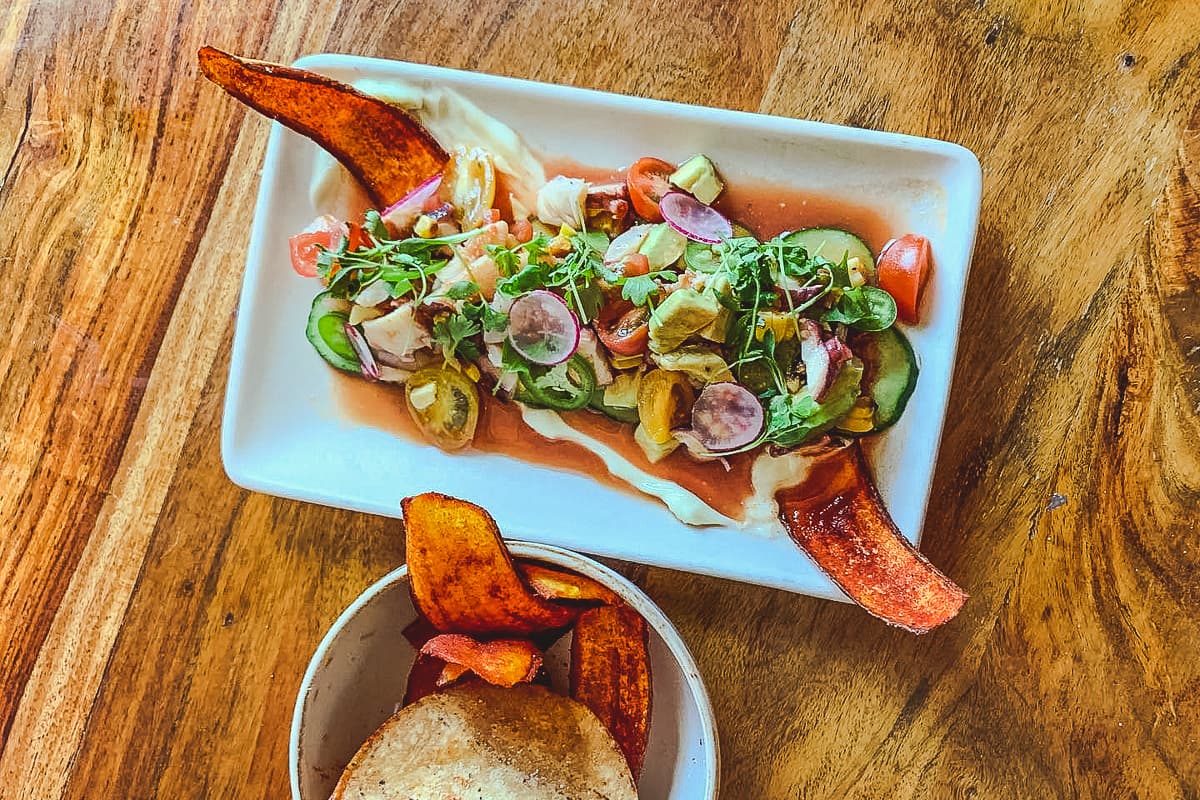El Charro family’s newest addition “Charro Vida” opens in Casas Adobes Plaza this week