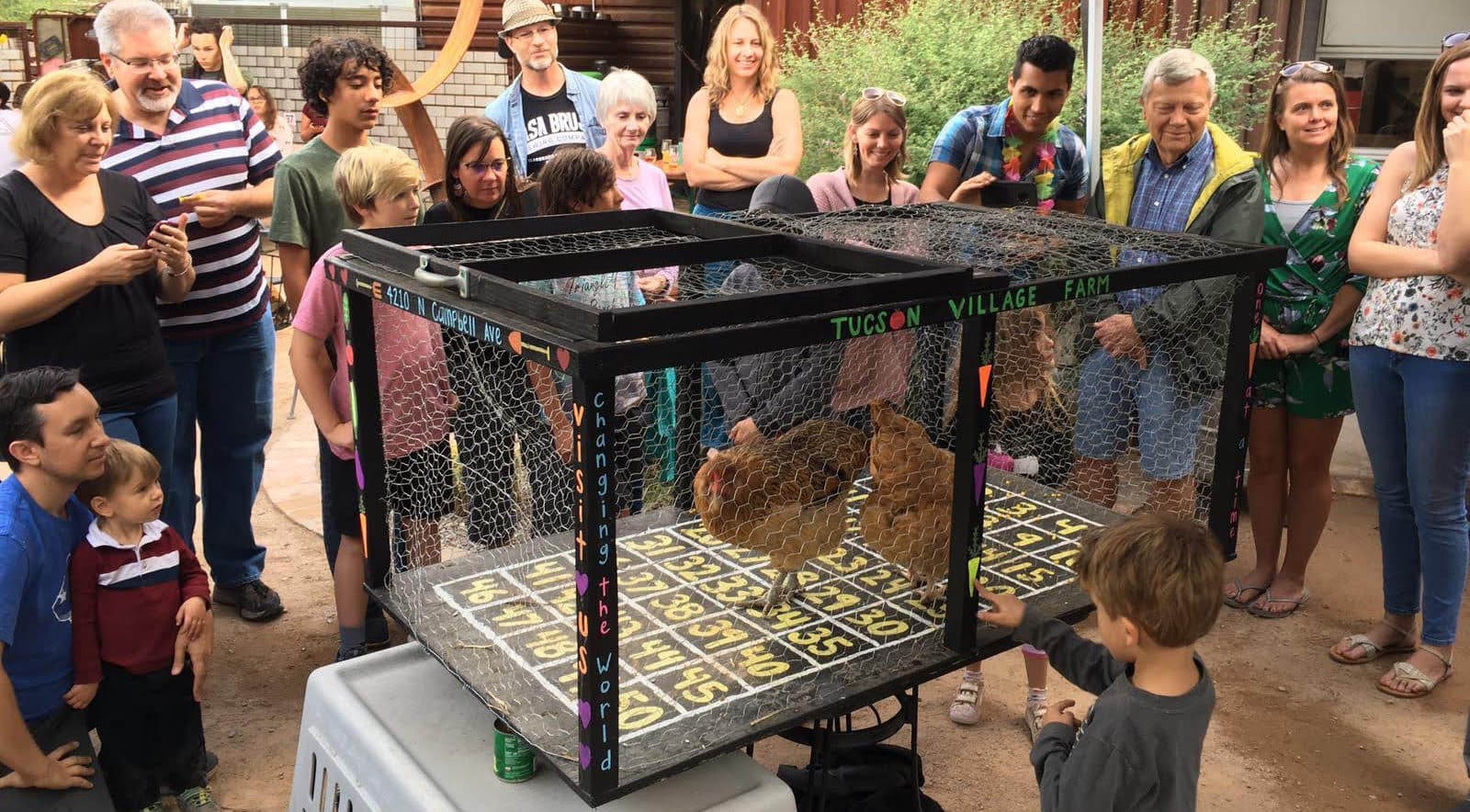 “Chicken Poop Bingo” with the Tucson Village Farm at Tucson Hop Shop