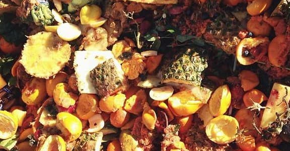 UA Compost Program Goes Citywide
