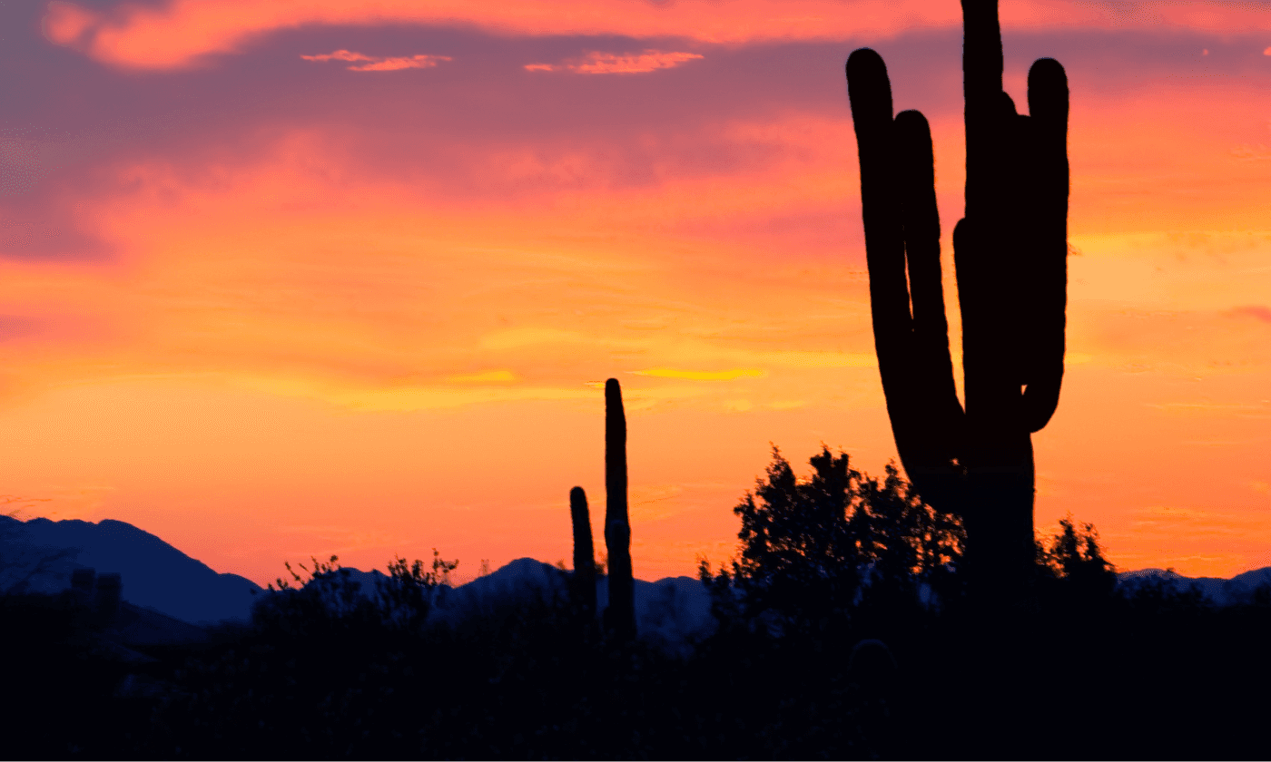 Menus Revealed for the ‘Conscious Eating’ Dinner Under the Stars at Tohono Chul