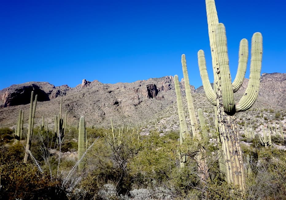 Finger Rock Trail (Credit: Jennifer Stash)