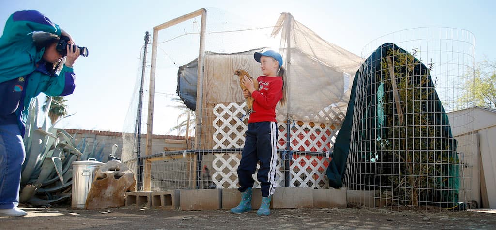 Chicken Coop Tour 2 (Credit: Mamta Popat)