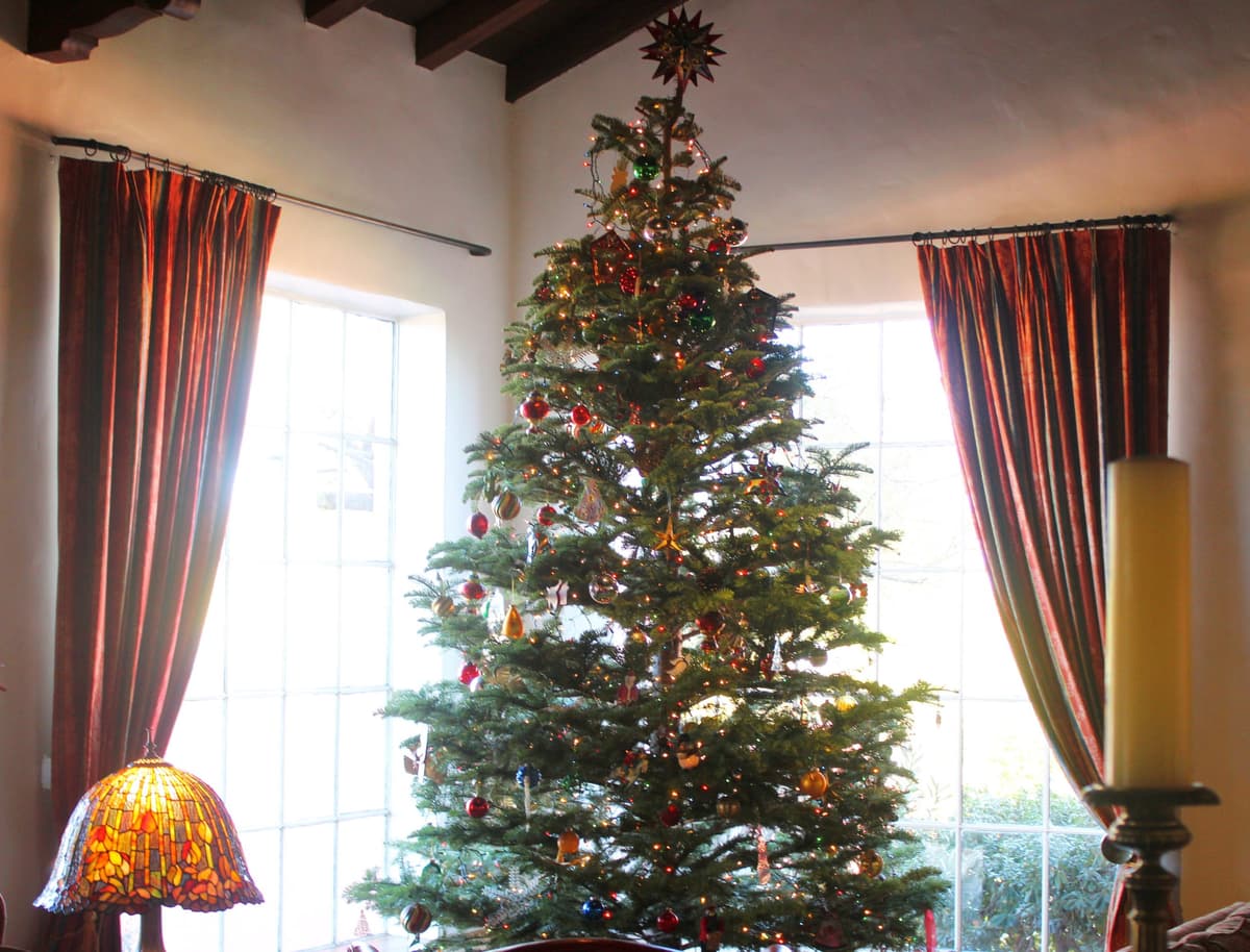 Holiday Season at Arizona Inn (Photo by Mark Whittaker)