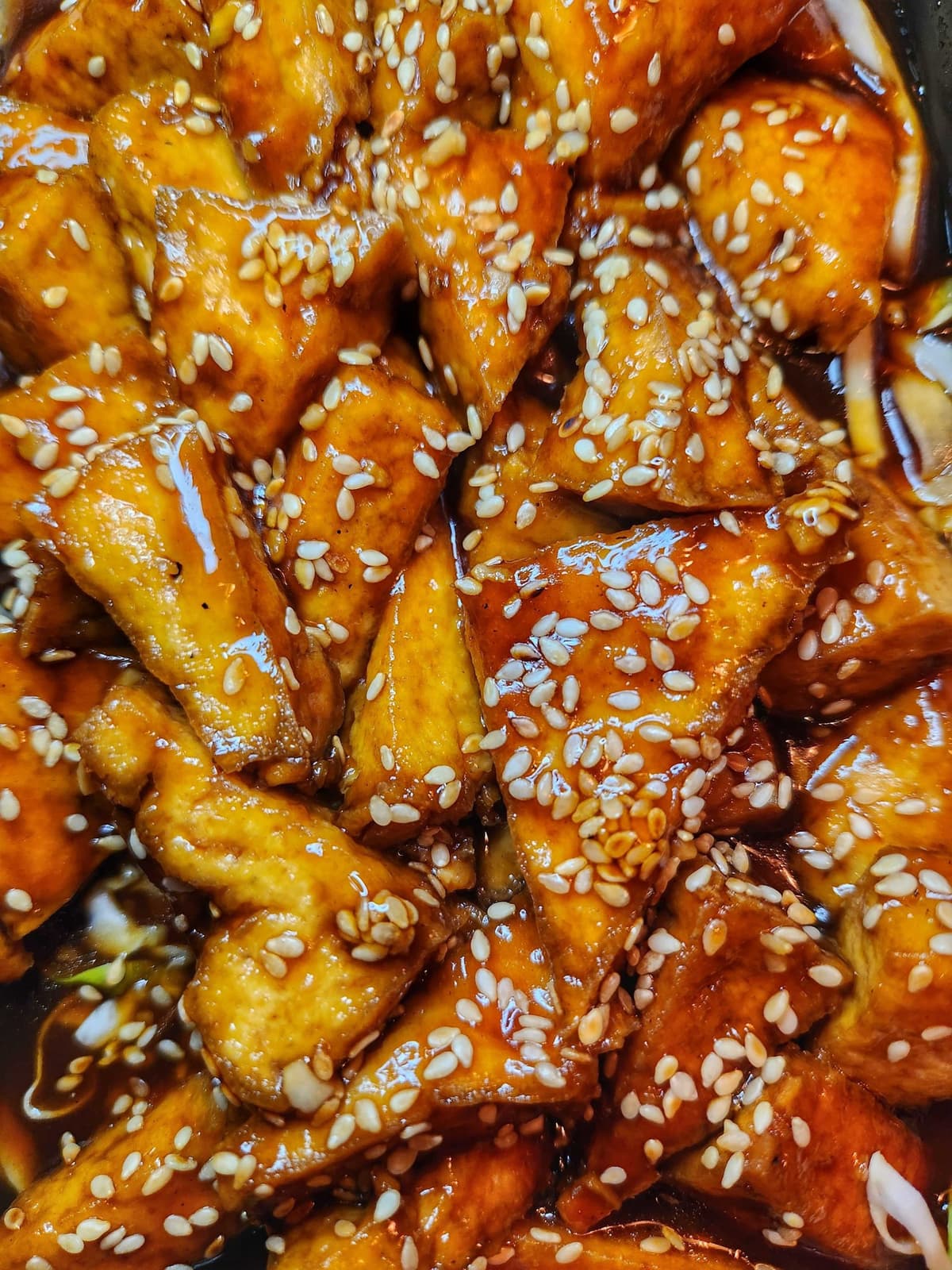 Sesame Tofu from Guilin Chinese Restaurant (Photo by Xochitl Gracia)