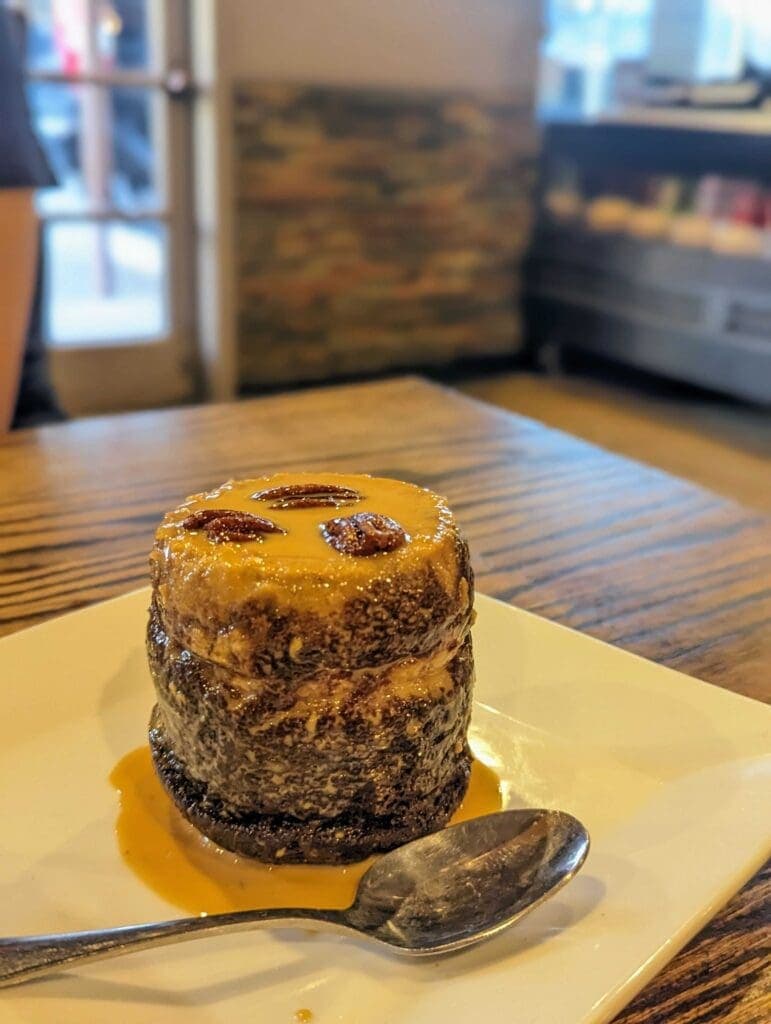 a piece of chocolate cake on a plate