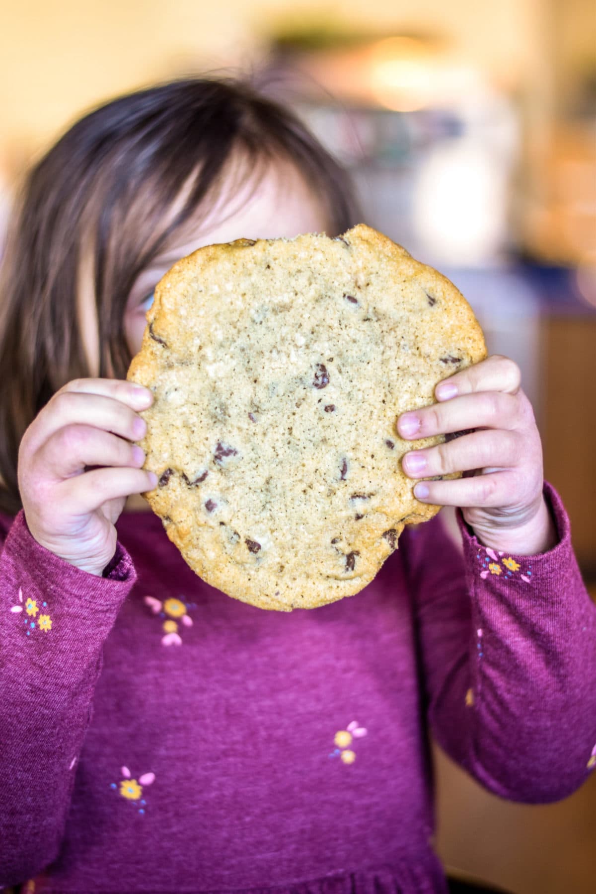 Chocolate Chip Cookie from Beyond Bread