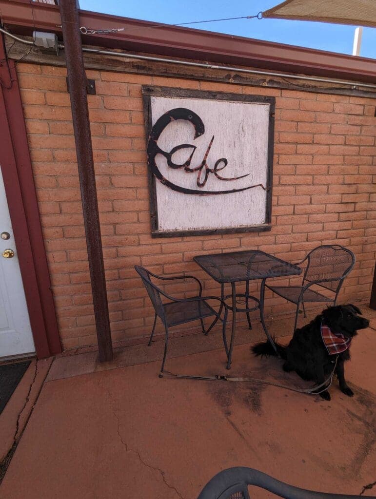 a cat sitting in front of a brick building