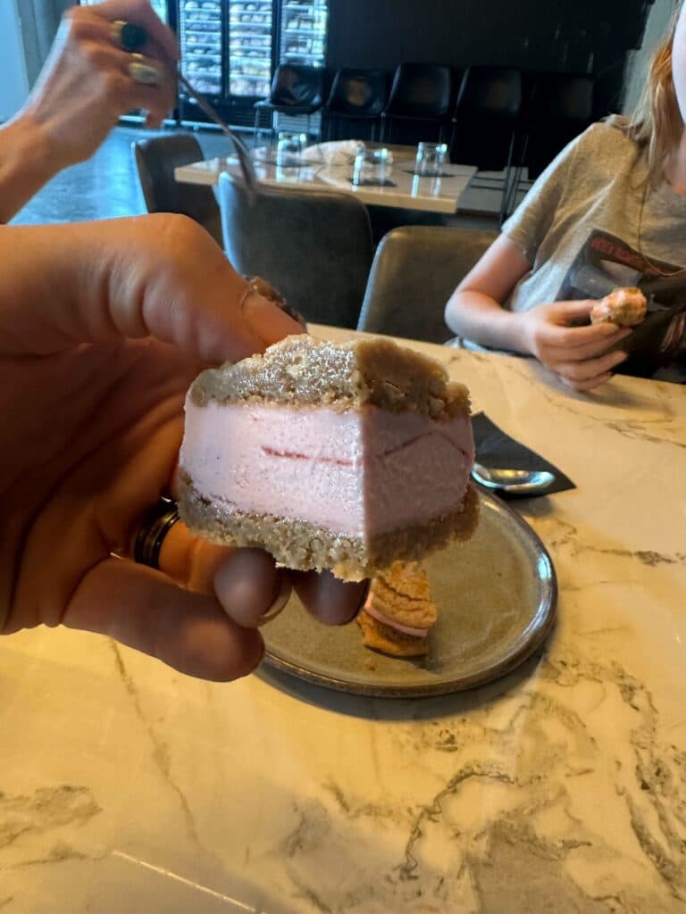 Ice Cream Sandwich