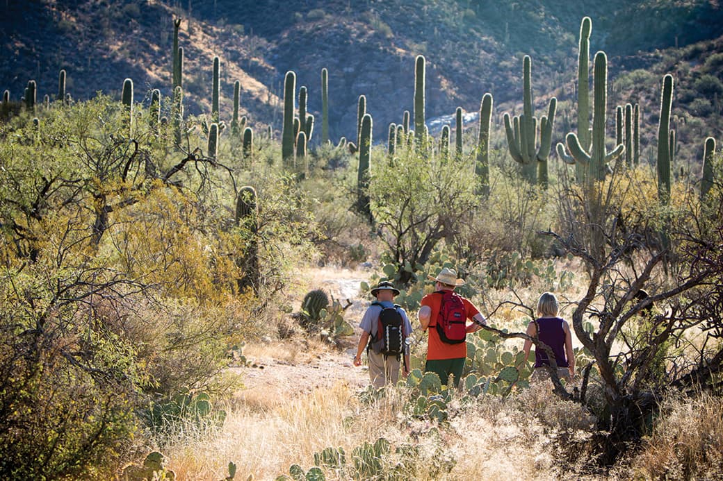 Tanque Verde Ranch