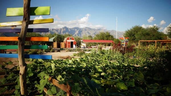 (Credit: Tucson Village Farm's Facebook)