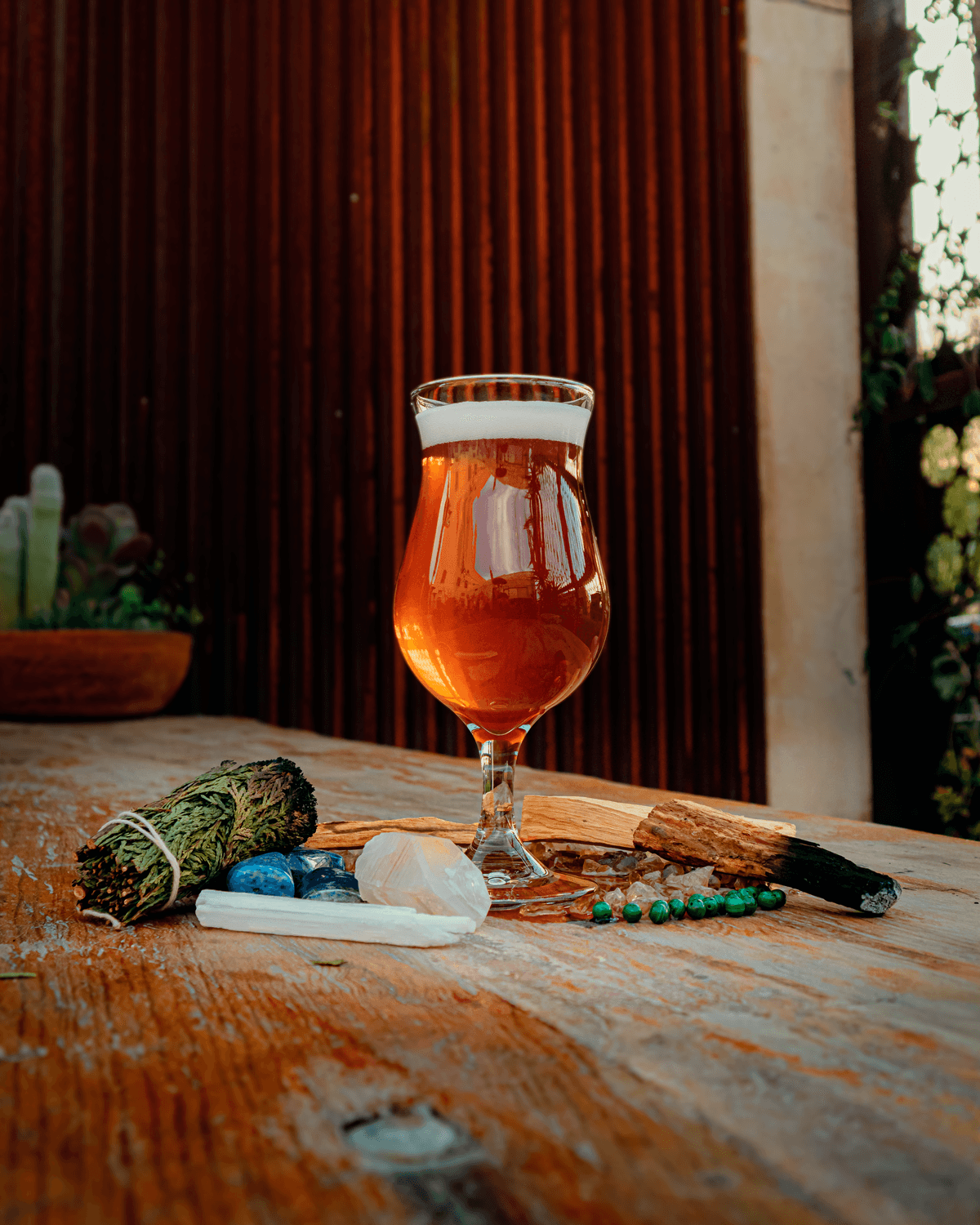Crooked Tooth Brewing Company