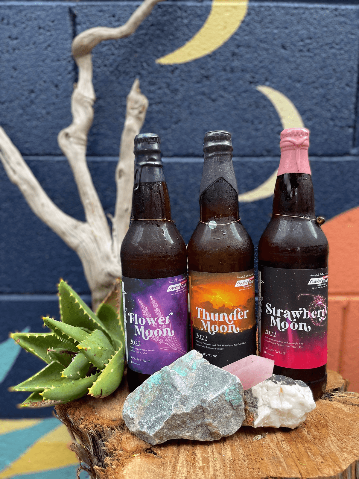Crooked Tooth Brewing Company
