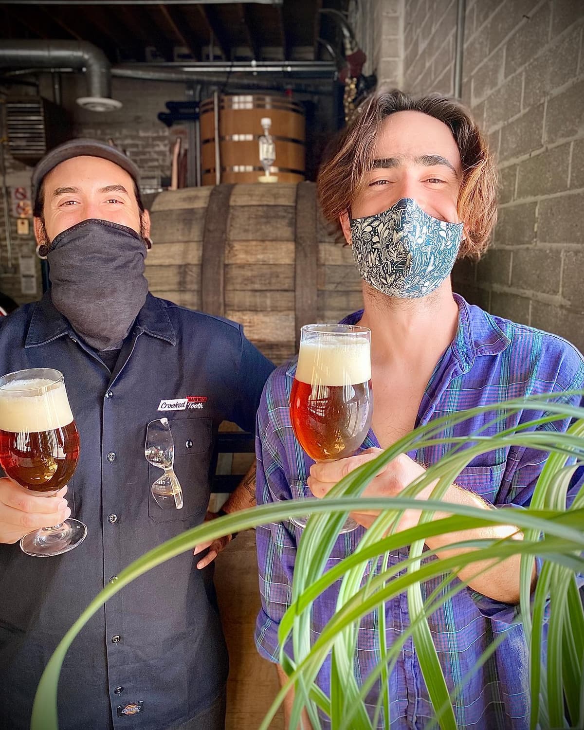 Crooked Tooth Brewing Company