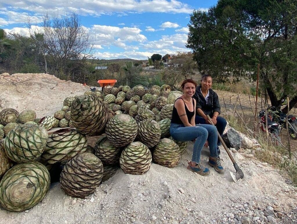 (Photo courtesy of Zinacantán Mezcal)