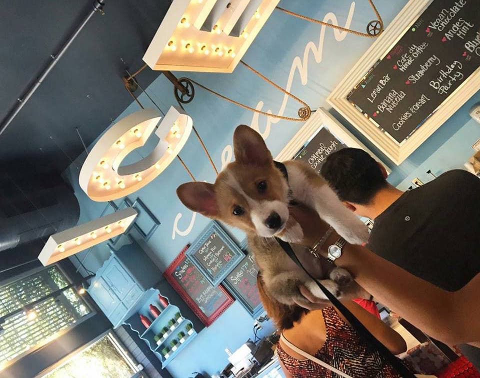 (Credit: Hub Ice Cream Factory)
