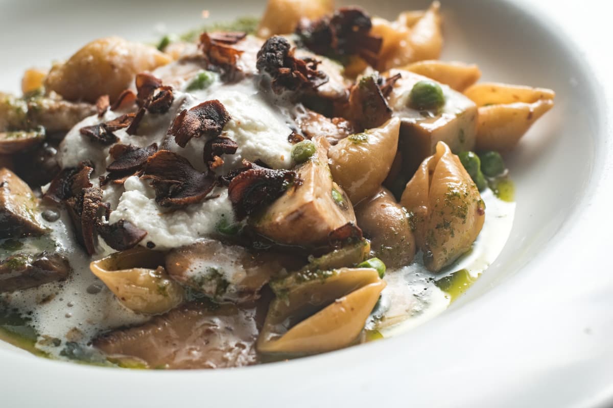 Three Mushroom Pasta at DOWNTOWN Kitchen + Cocktails (Credit: Jackie Tran)