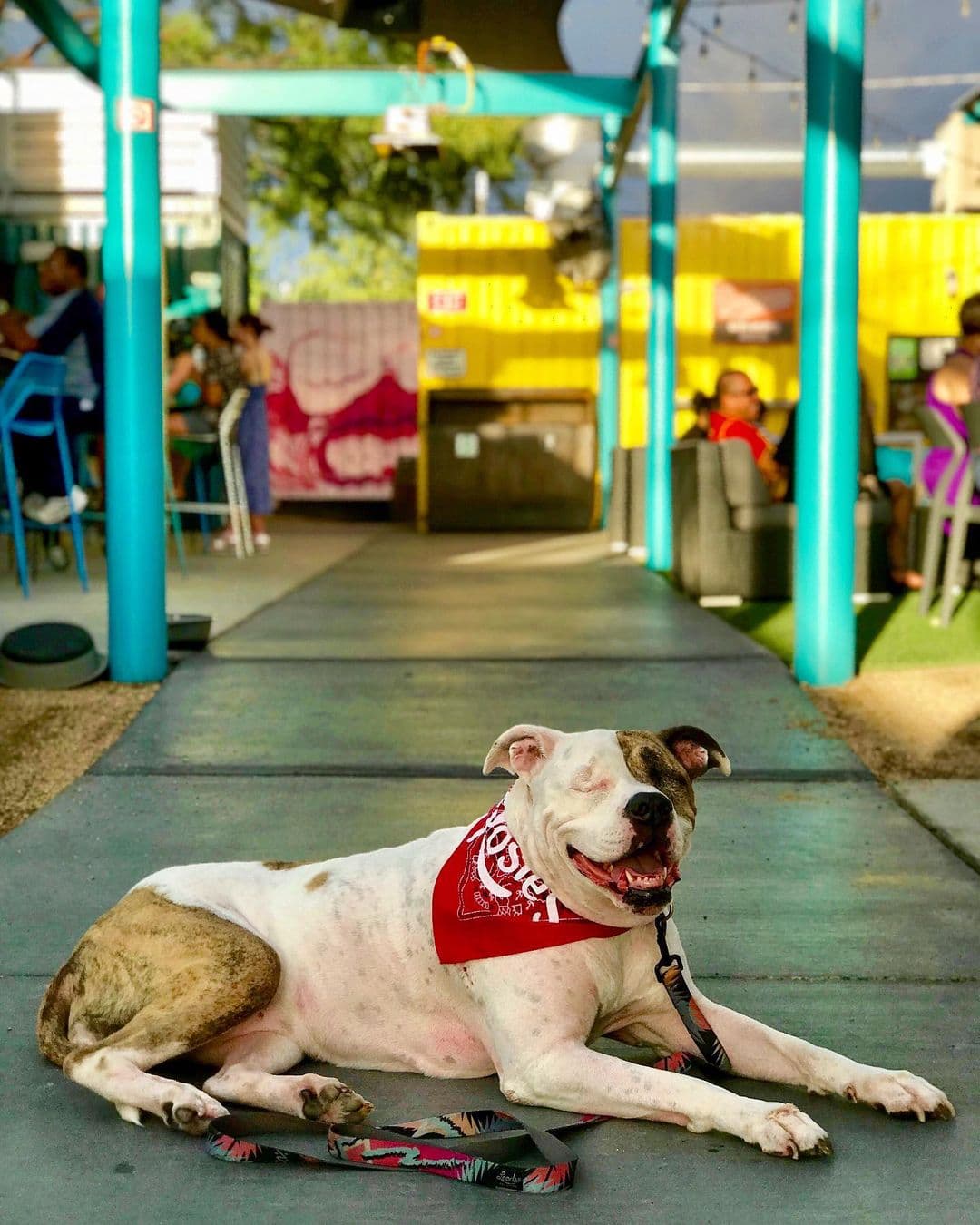 Patio at The Boxyard (Photo courtesy of The Boxyard on Instagram)