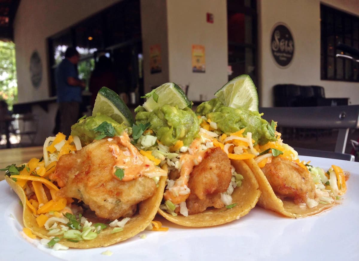 Fish Tacos at Seis Kitchen