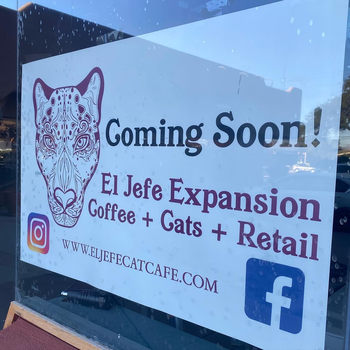 Photo courtesy of El Jefe Cat Lounge on Facebook