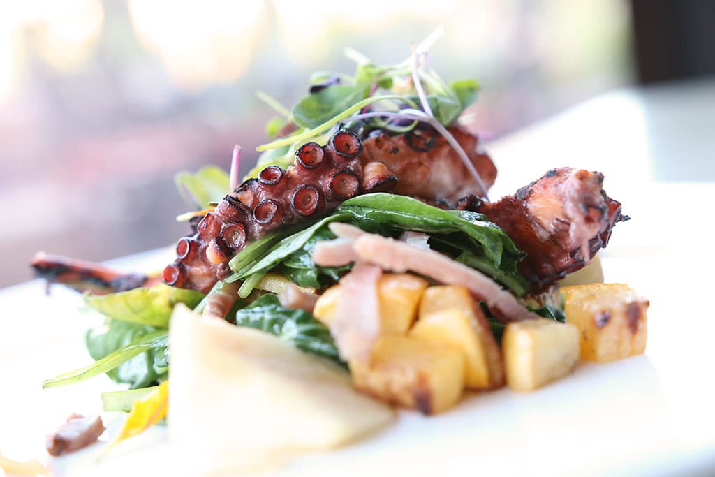 Grilled Octopus at The Grill at Hacienda del Sol (Credit: Adam Lehrman)