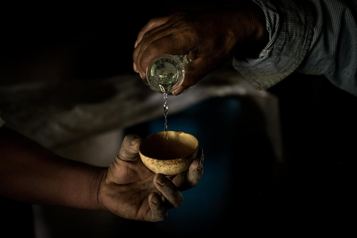 Agave: The Spirit of a Nation (Credit: Nate Pesce)