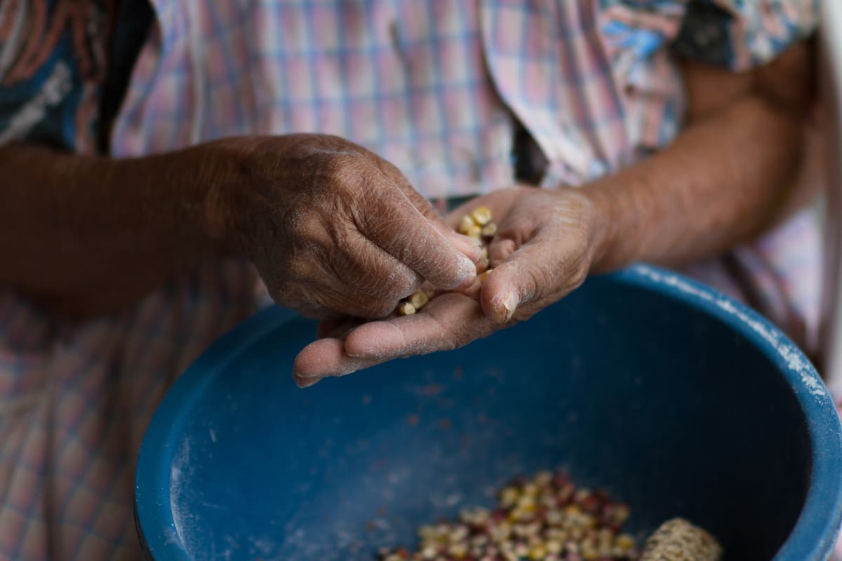 Photo courtesy of The Keepers of Corn/Los Guardianes del Maíz