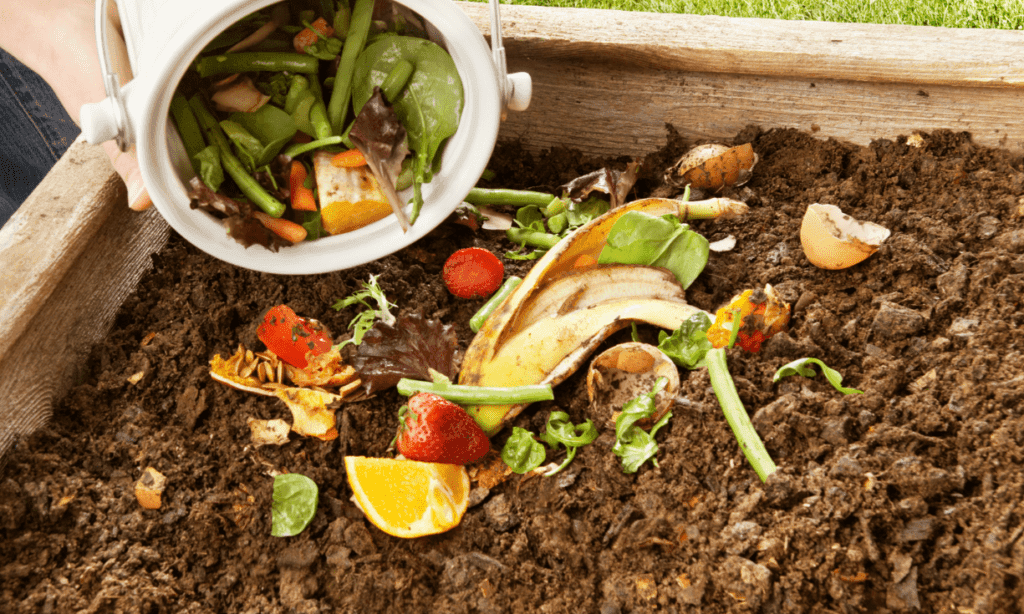 a bowl of fruit and vegetable salad