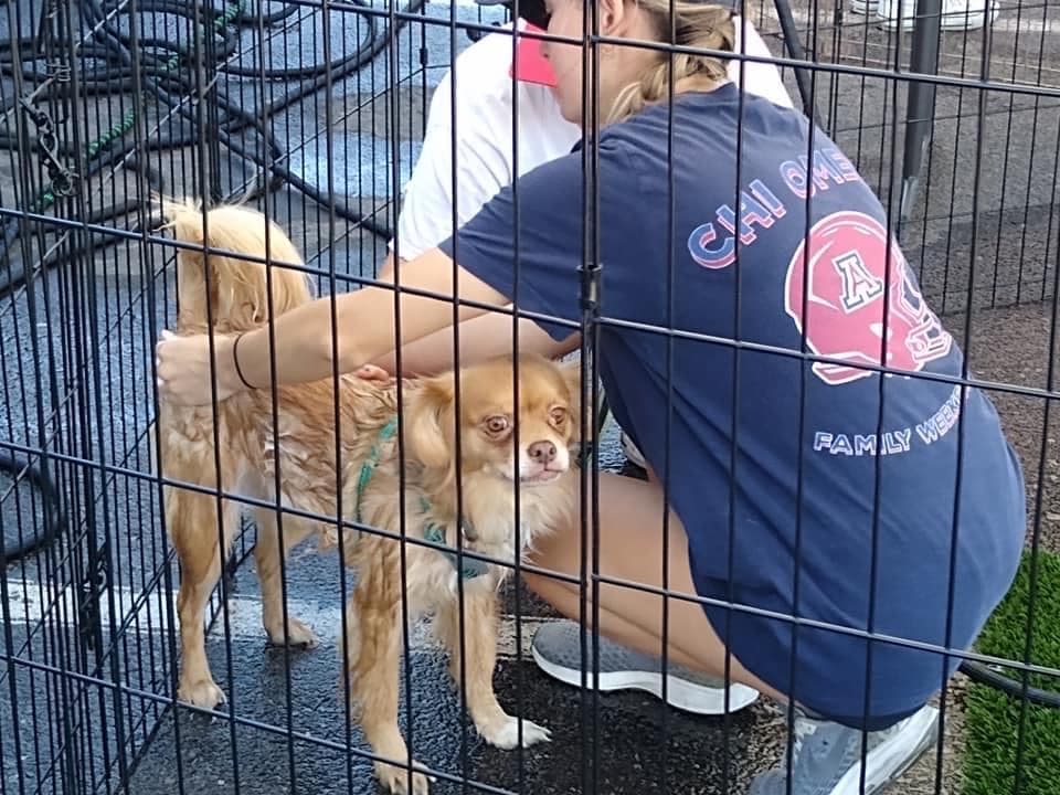 Barks & Brews (Photo by Cydney Mahieu)