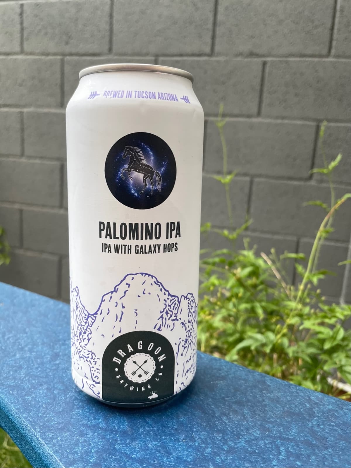 Dragoon Brewing Company