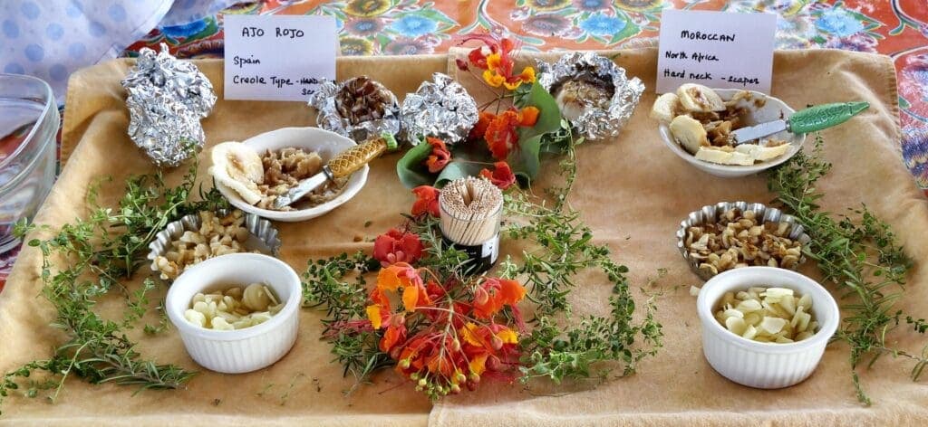 a bunch of different types of food on a table