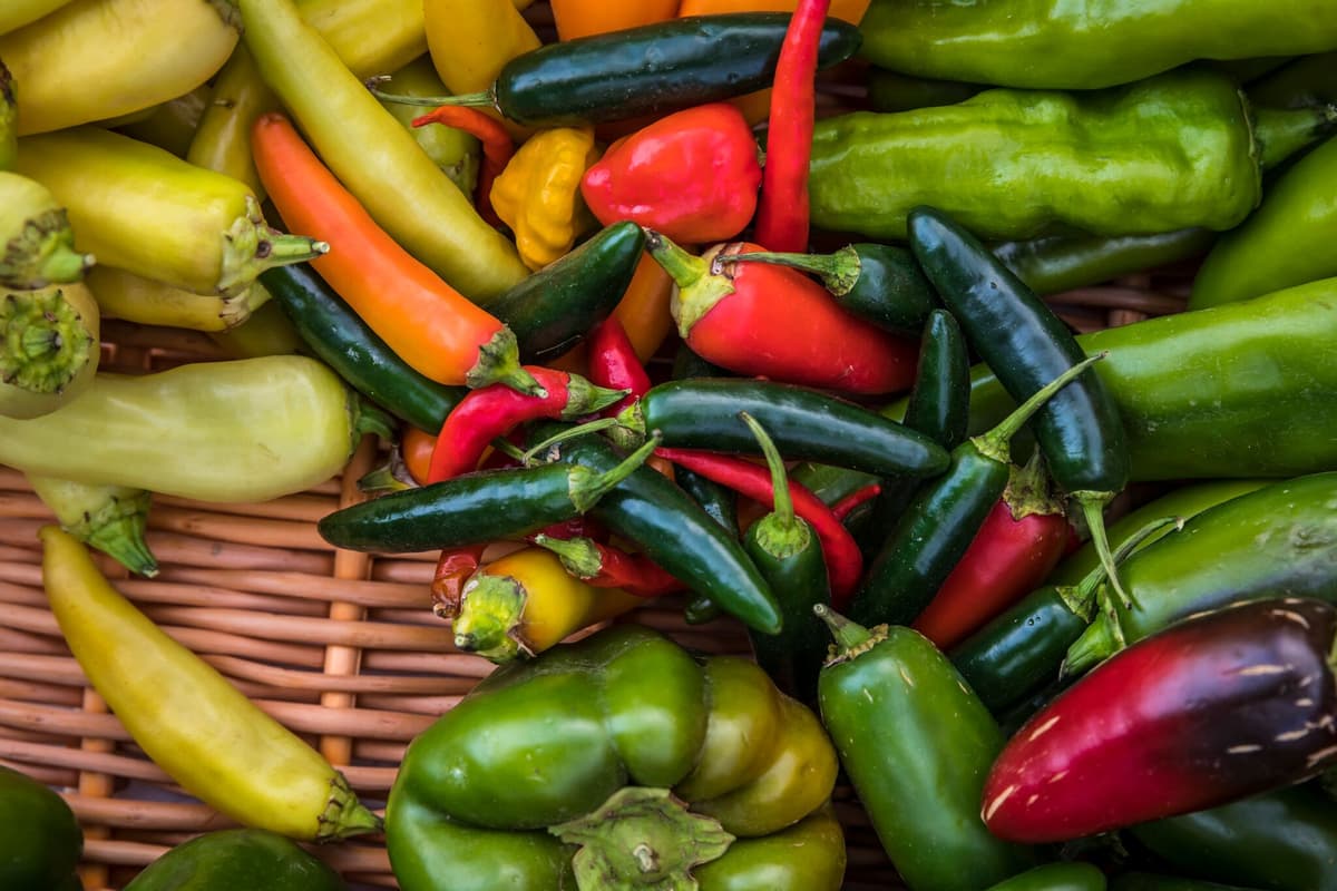 Photo Courtesy of Heirloom Farmers Markets